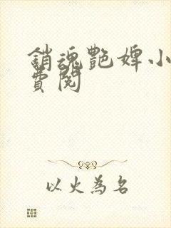 销魂艳婢小说免费阅