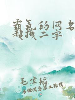 霸气的网名女生超拽二字