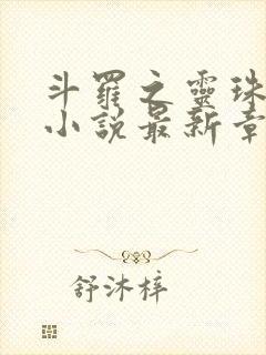 斗罗之灵珠神剑小说最新章下载