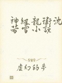 神级龙卫沈浪苏若雪小说