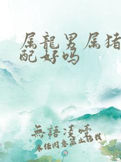 属龙男属猪女婚配好吗