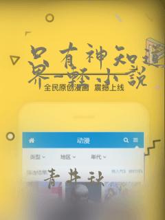 只有神知道的世界-轻小说