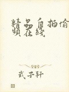 精品自拍偷拍视频在线