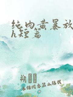 纯肉黄暴放荡高h短篇