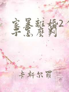 家暴离婚2个孩子怎么判