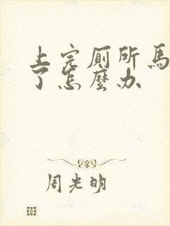 上完厕所马桶堵了怎么办