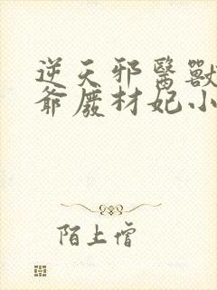 逆天邪医兽黑王爷废材妃小说