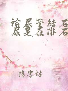 输尿管结石有血尿是在排石吗