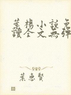 叶杨小说免费阅读全文无弹窗