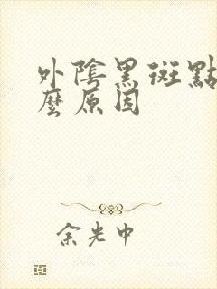 外阴黑斑点是什么原因