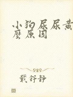 小狗尿尿黄是什么原因