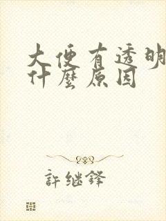 大便有透明粘液什么原因