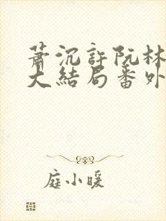 萧沉许阮林依然大结局番外