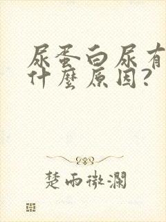 尿蛋白尿有血是什么原因?