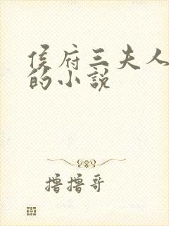 侯府三夫人重生的小说