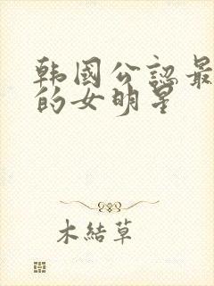 韩国公认最漂亮的女明星