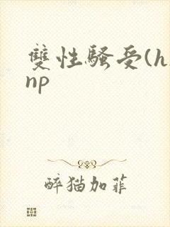 双性骚受(h)np