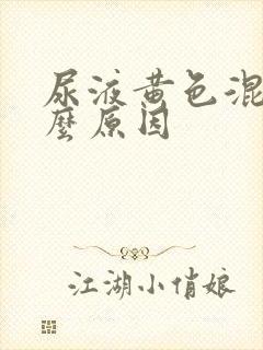 尿液黄色混浊什么原因