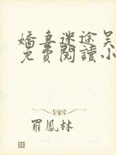 娇妻迷途吴铁军免费阅读小说