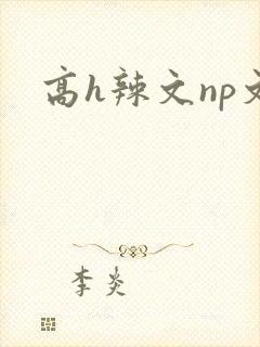 高h辣文np文