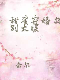 甜蜜宠婚 总裁别太暖