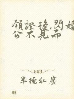 领证后,闪婚老公不见面