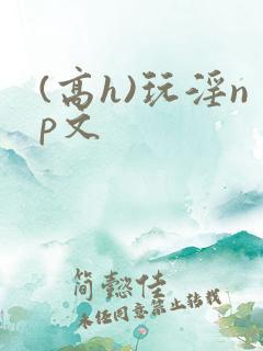 (高h)玩淫np文