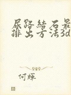 尿路结石最快的排出方法3d演示