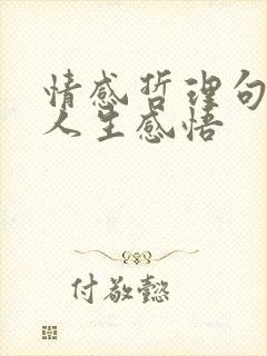 情感哲理句子 人生感悟