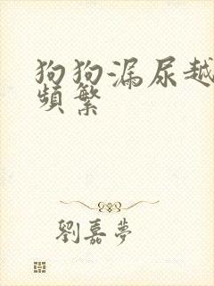 狗狗漏尿越来越频繁