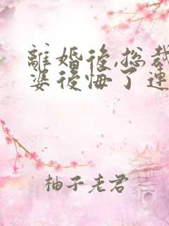 离婚后,总裁老婆后悔了连载