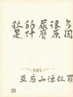 拉的尿很多泡泡是什么原因