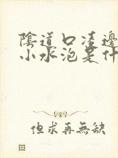 阴道口凌边上长小水泡是什么情况