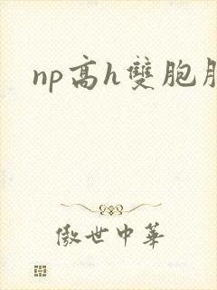np高h双胞胎