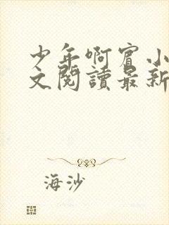 少年啊宾小说全文阅读最新章节txt