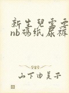 新生儿需要多少nb码纸尿裤