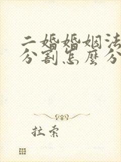 二婚婚姻法财产分割怎么分