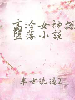 高冷女神总裁的堕落小说