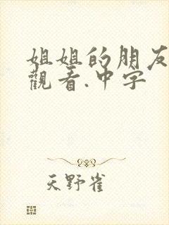 姐姐的朋友免费观看.中字