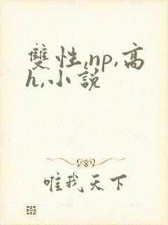 双性,np,高h,小说