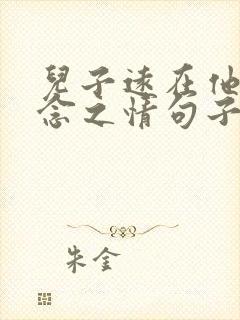 儿子远在他乡思念之情句子