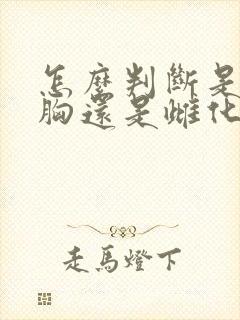 怎么判断是脂肪胸还是雌化胸