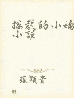 总裁的小娇妻 小说