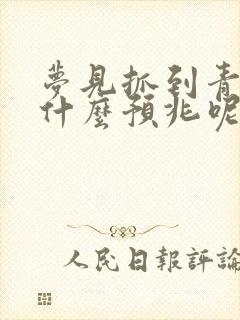 梦见抓到青蛙是什么预兆呢周公解梦