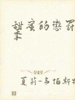 甜蜜的惩罚第9季