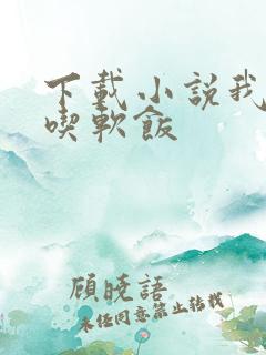 下载小说我真没吃软饭