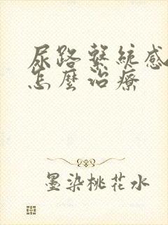 尿路系统感染病怎么治疗