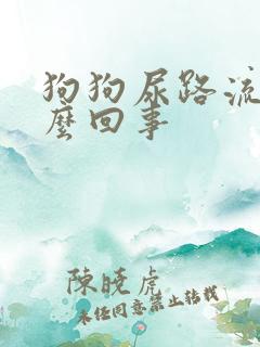 狗狗尿路流血怎么回事