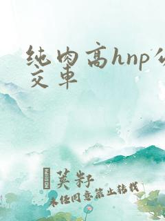 纯肉高hnp公交车