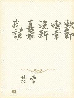 我真没吃软饭小说最新章节